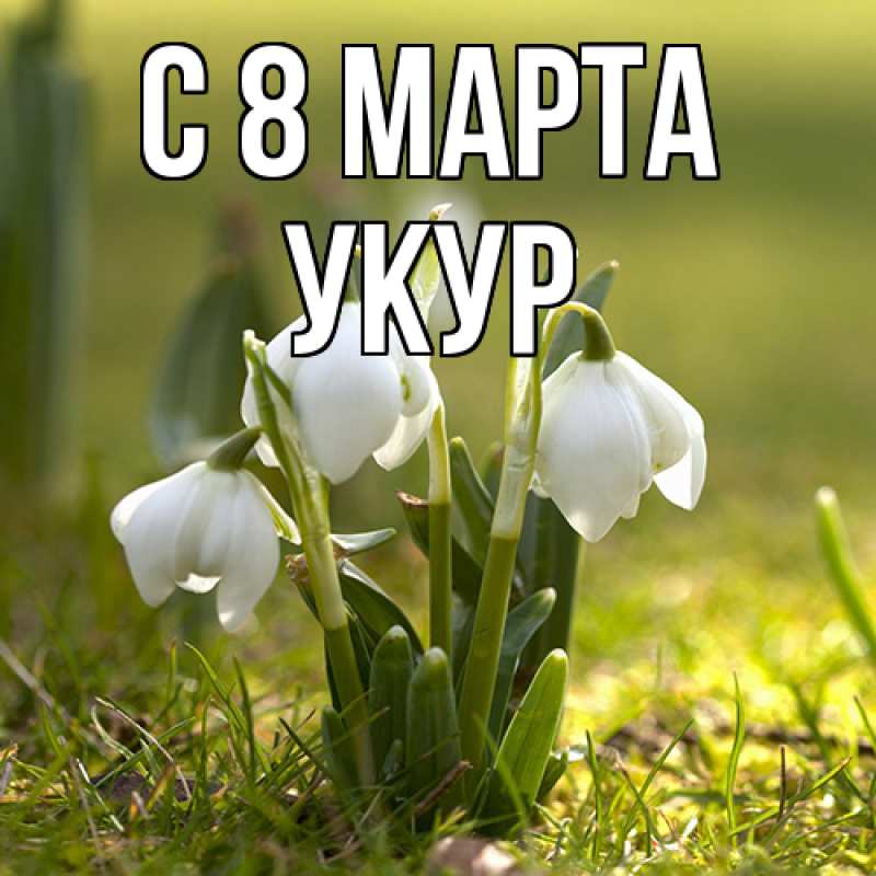 Картинка C 8 МАРТА, Укур