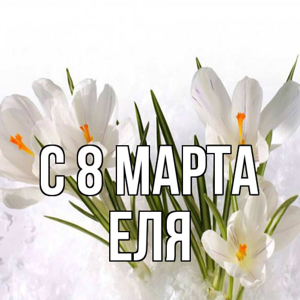 Открытка на каждый день с именем, Еля C 8 МАРТА под снегом Прикольная открытка с пожеланием онлайн скачать бесплатно 