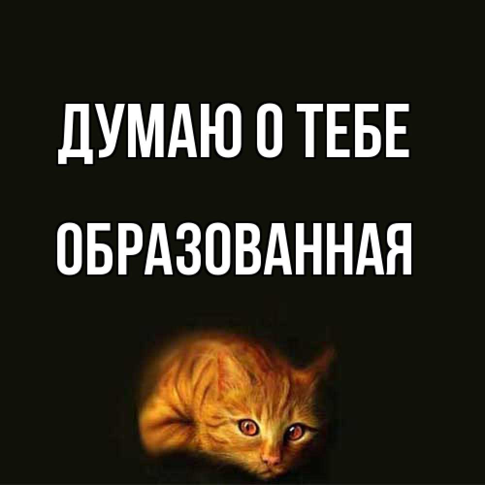 Открытка на каждый день с именем, Обpазованная Думаю о тебе рыжий Прикольная открытка с пожеланием онлайн скачать бесплатно 