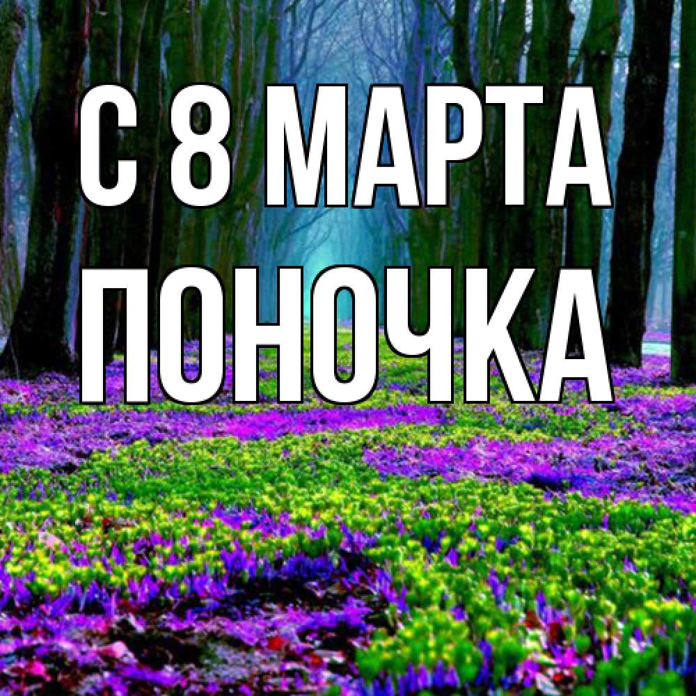 Открытка на каждый день с именем, поночка C 8 МАРТА фиолетовые цветы в лесу 1 Прикольная открытка с пожеланием онлайн скачать бесплатно 