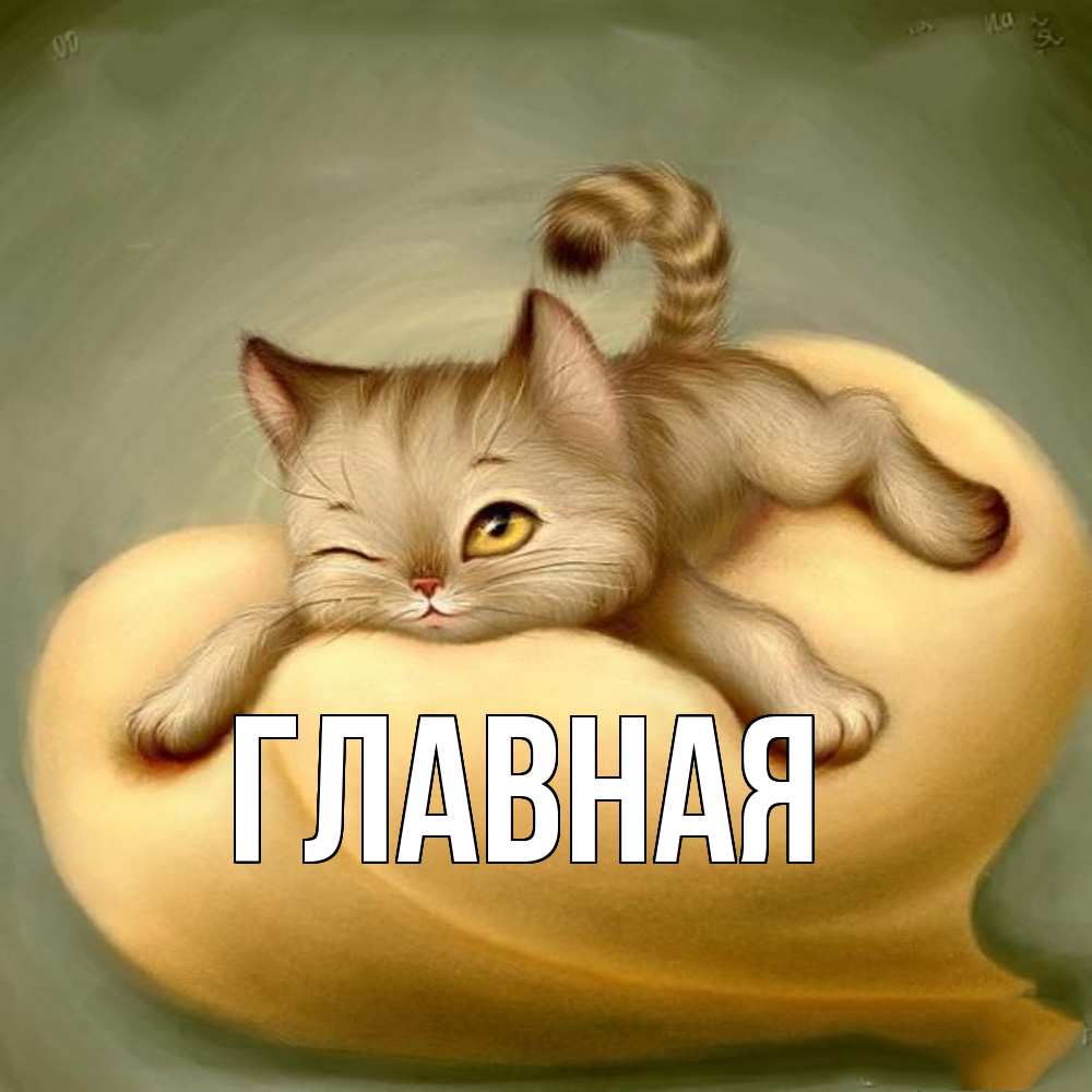 Открытка на каждый день с именем, настя Главная кошечка Прикольная открытка с пожеланием онлайн скачать бесплатно 