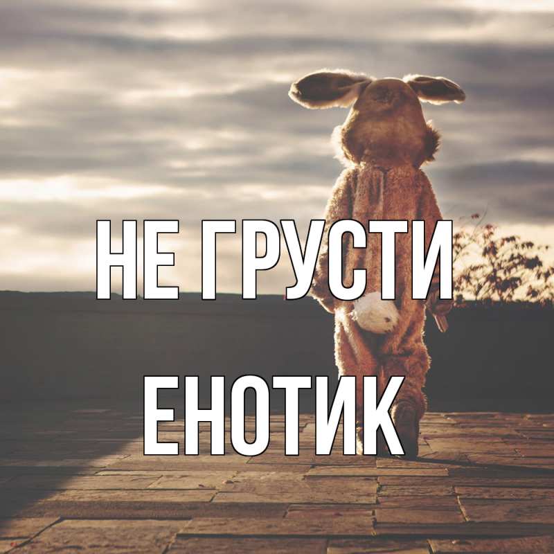 Картинка Не грусти, Енотик