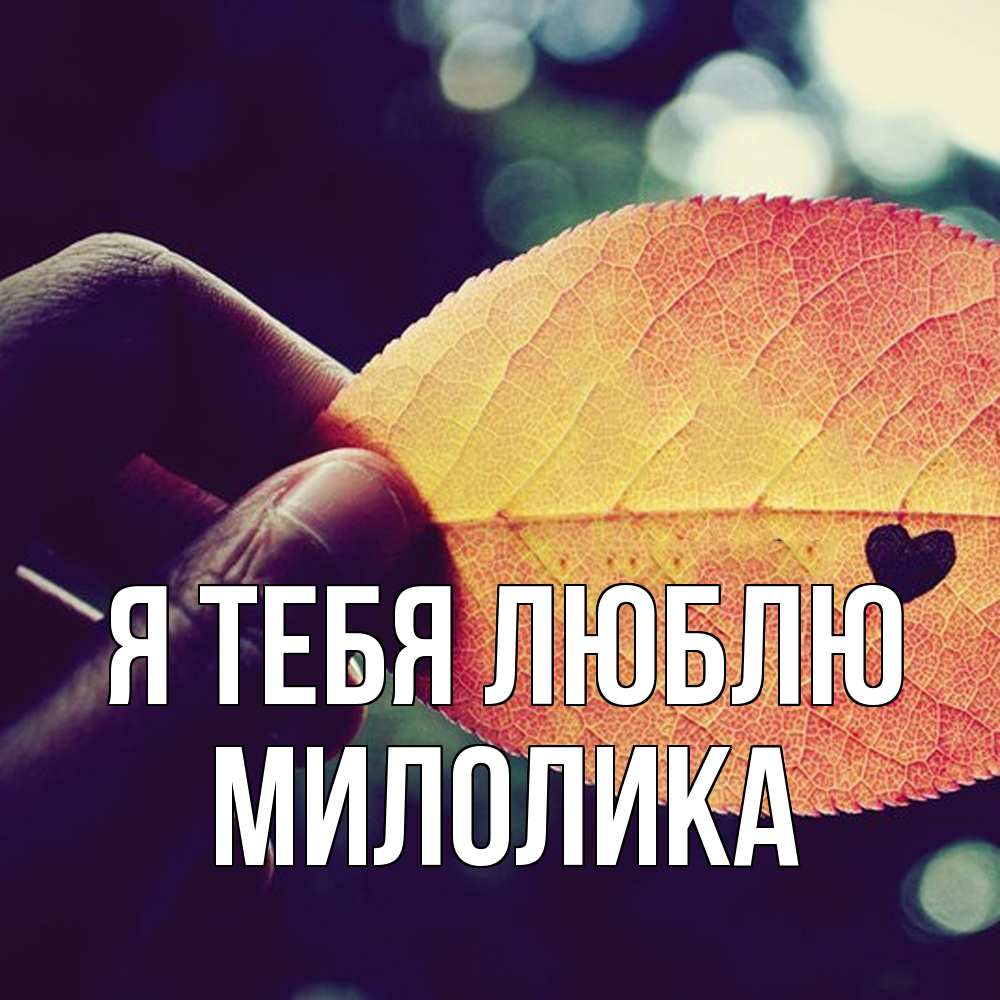 Открытка на каждый день с именем, Милолика Я тебя люблю держу лист Прикольная открытка с пожеланием онлайн скачать бесплатно 