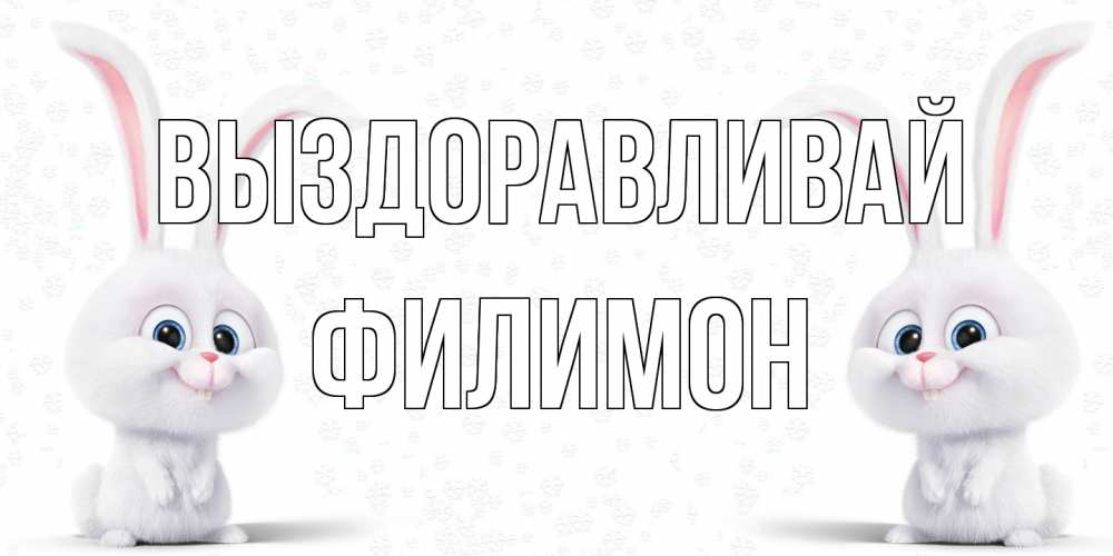 Открытка на каждый день с именем, Филимон Выздоравливай не болей с зайцем Прикольная открытка с пожеланием онлайн скачать бесплатно 