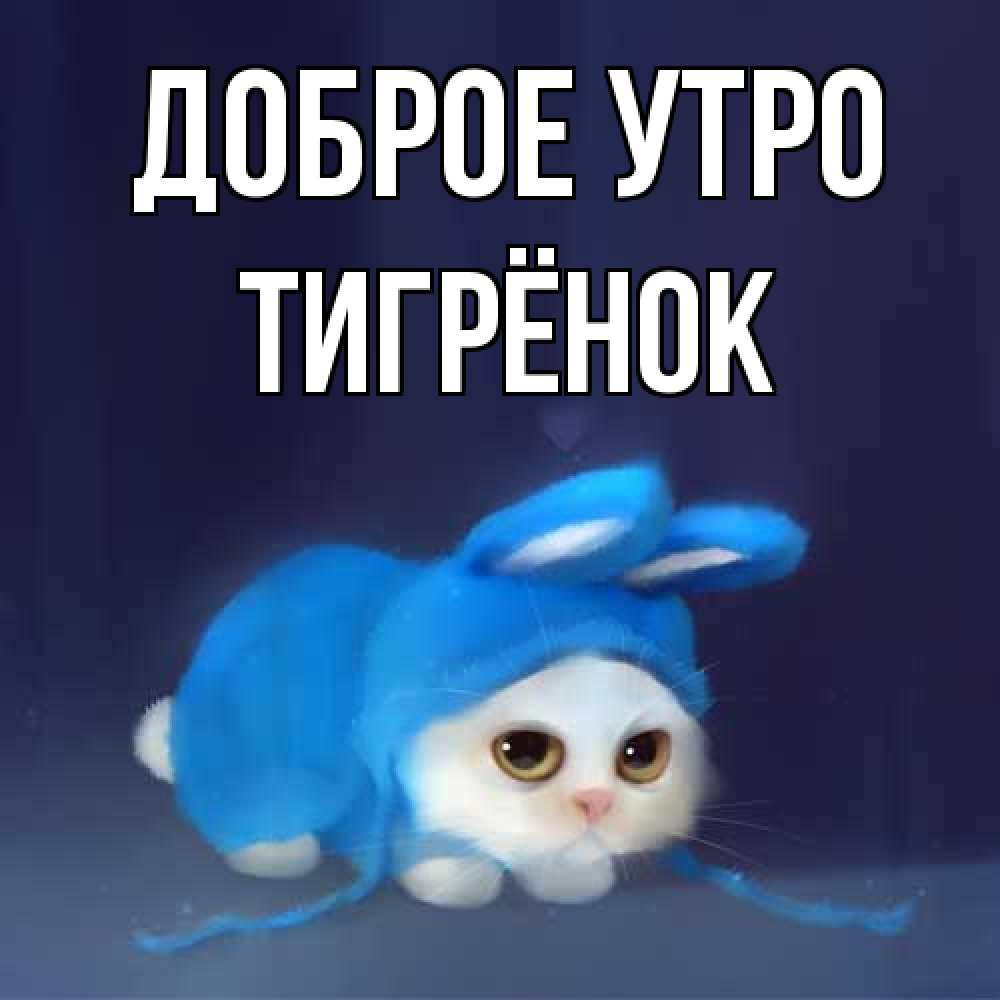 Открытка на каждый день с именем, Тигрёнок Доброе утро открытки красивые скачать бесплатно Прикольная открытка с пожеланием онлайн скачать бесплатно 
