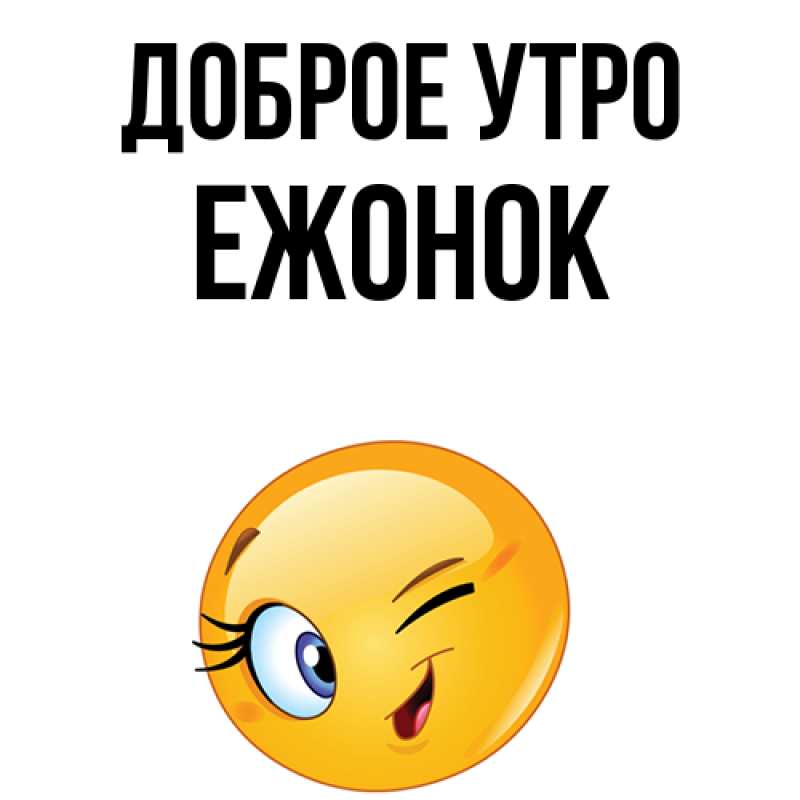 Картинка Доброе утро, Ежонок