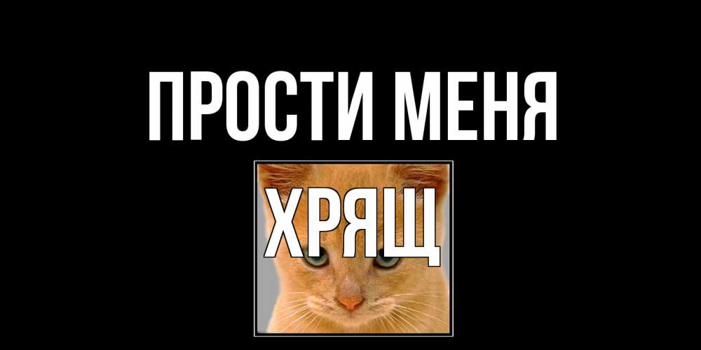 Открытка на каждый день с именем, Хрящ Прости меня рыжий грустный кот просит прощения Прикольная открытка с пожеланием онлайн скачать бесплатно 