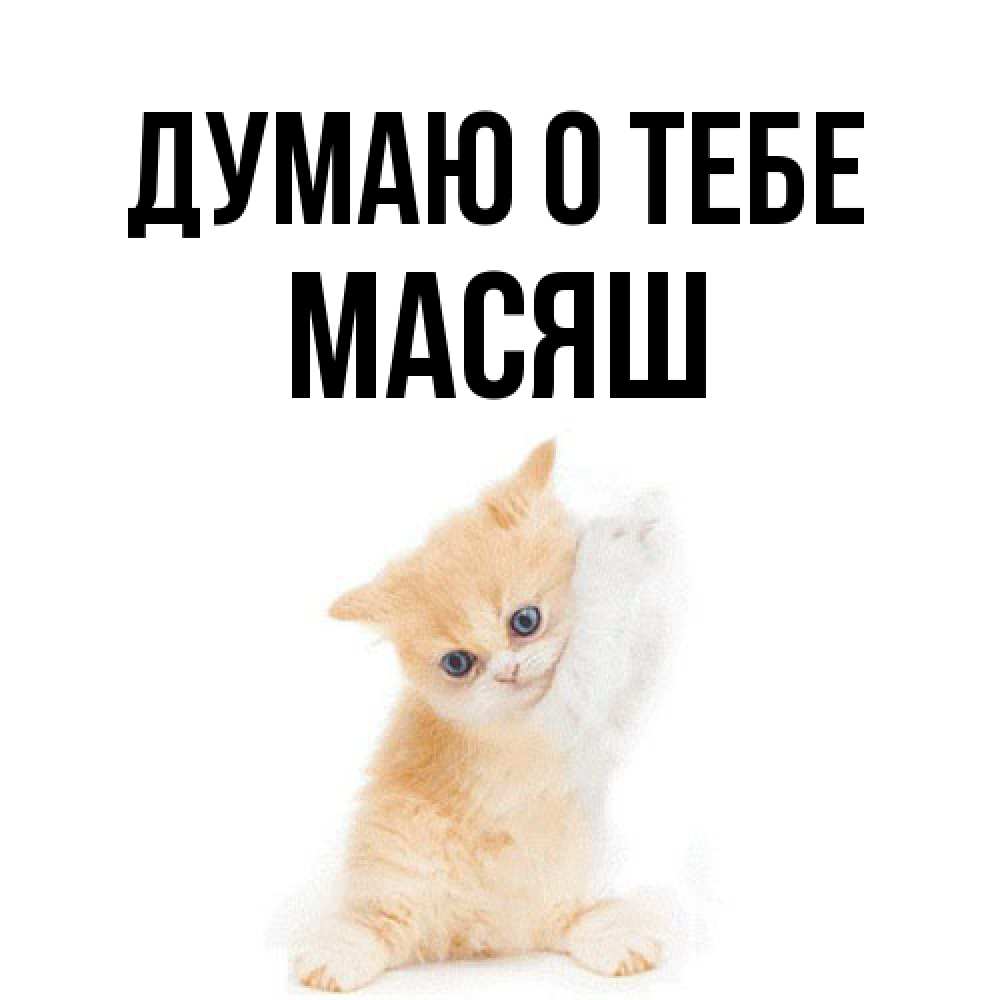 Открытка на каждый день с именем, Масяш Думаю о тебе зверушки и милота Прикольная открытка с пожеланием онлайн скачать бесплатно 