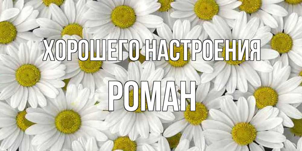 Открытка на каждый день с именем, Роман Хорошего настроения поляна ромашек Прикольная открытка с пожеланием онлайн скачать бесплатно 