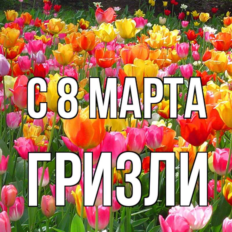 Картинка C 8 МАРТА, Гризли