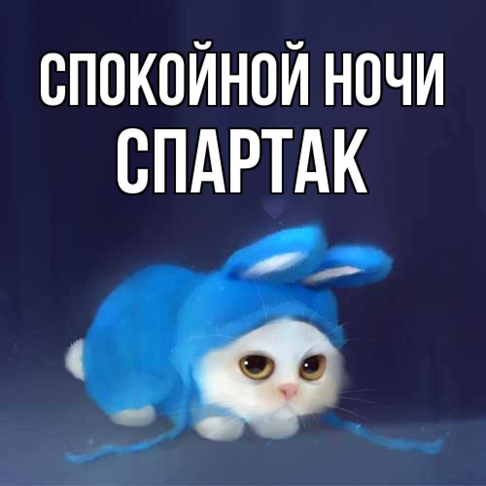 Открытка на каждый день с именем, Спартак Спокойной ночи кот в голубом костюме кролика с ушками Прикольная открытка с пожеланием онлайн скачать бесплатно 
