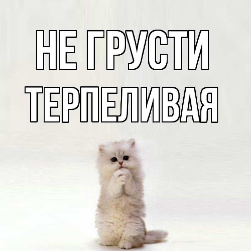 Картинка Не грусти, терпеливая