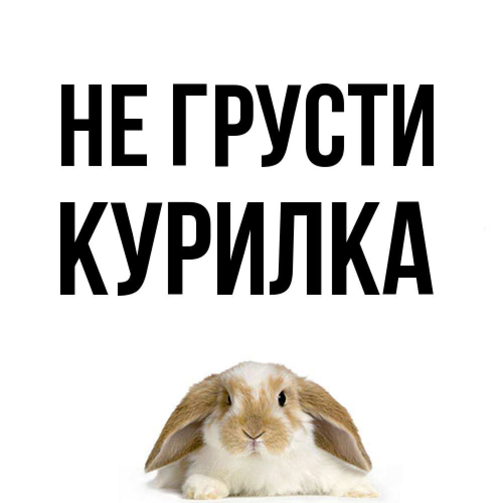 Открытка на каждый день с именем, Курилка Не грусти коричнево белый заяц с большими ушками Прикольная открытка с пожеланием онлайн скачать бесплатно 