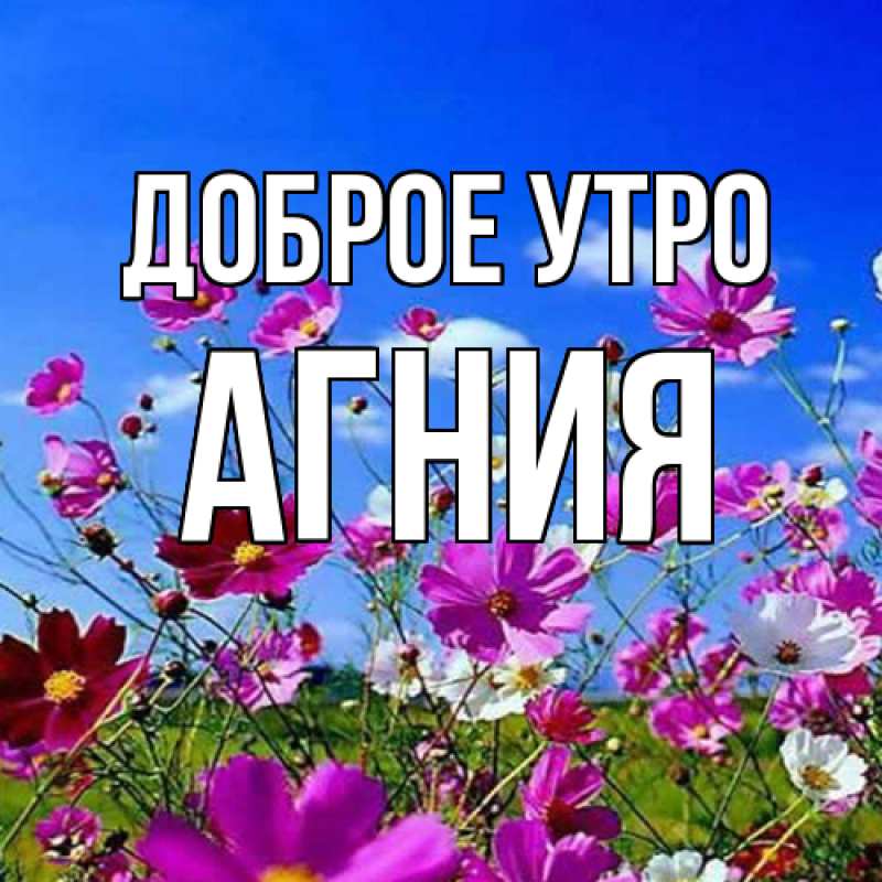 Картинка Доброе утро, Агния