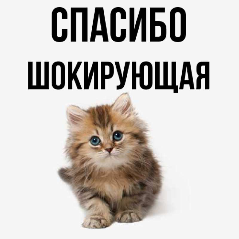 Картинка Спасибо, Шокирующая