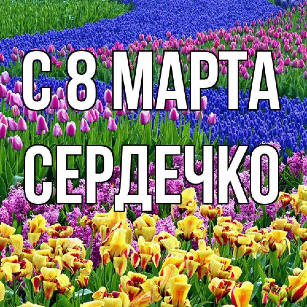 Открытка на каждый день с именем, сердечко C 8 МАРТА цветы Прикольная открытка с пожеланием онлайн скачать бесплатно 