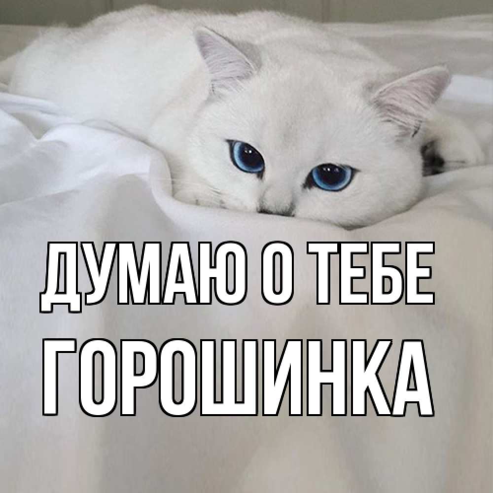 Открытка на каждый день с именем, горошинка Думаю о тебе я очень по тебе скучаю и тоскую Прикольная открытка с пожеланием онлайн скачать бесплатно 