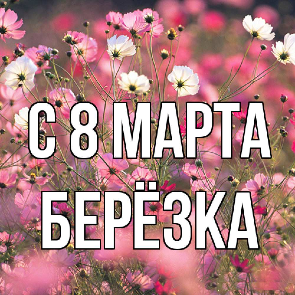 Открытка на каждый день с именем, Берёзка C 8 МАРТА красиво 1 Прикольная открытка с пожеланием онлайн скачать бесплатно 