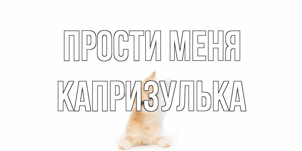 Открытка на каждый день с именем, капризулька Прости меня кот Прикольная открытка с пожеланием онлайн скачать бесплатно 