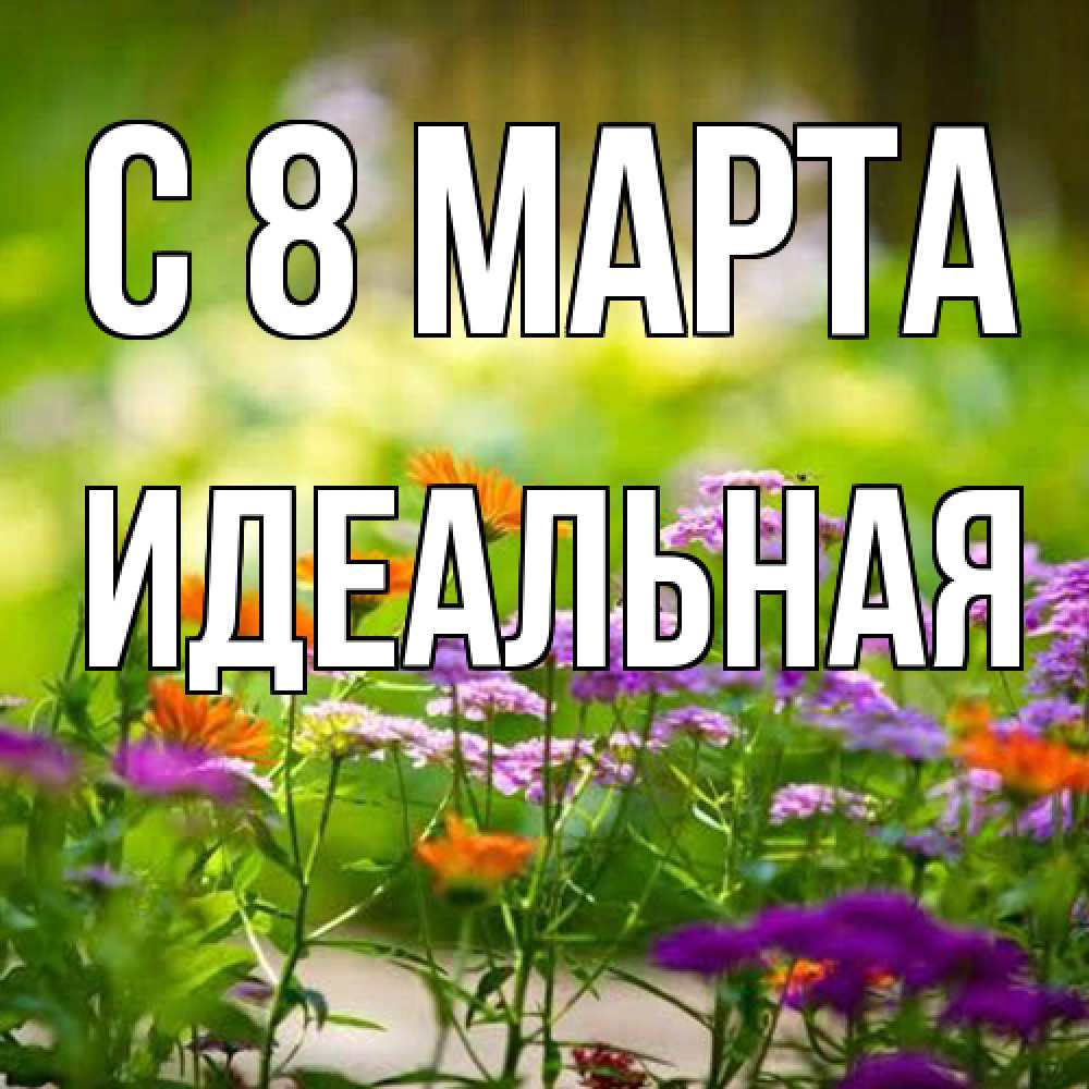 Открытка на каждый день с именем, идеальная C 8 МАРТА цветы Прикольная открытка с пожеланием онлайн скачать бесплатно 