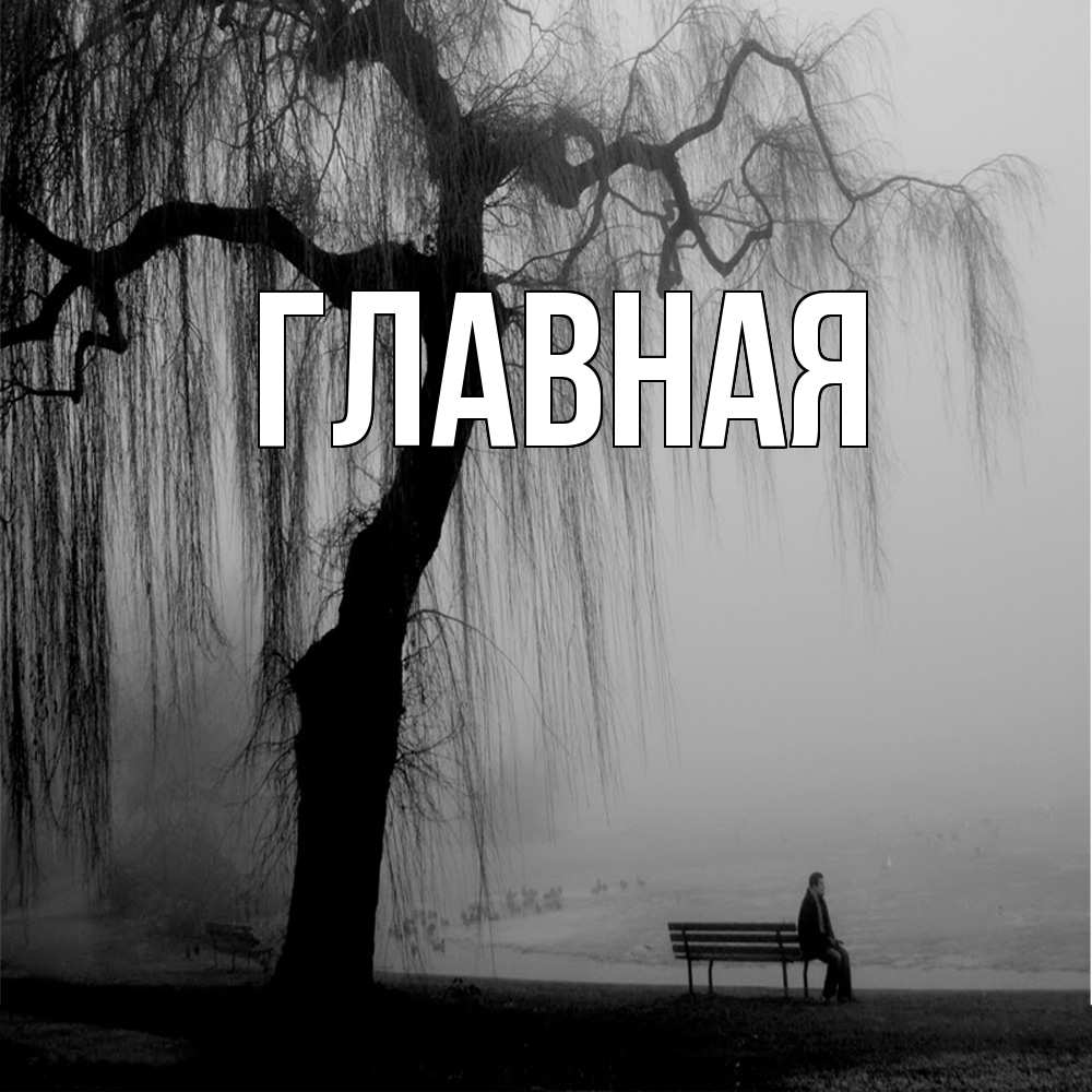 Открытка на каждый день с именем, настя Главная висящие ветки дерева и лавочка под деревом Прикольная открытка с пожеланием онлайн скачать бесплатно 