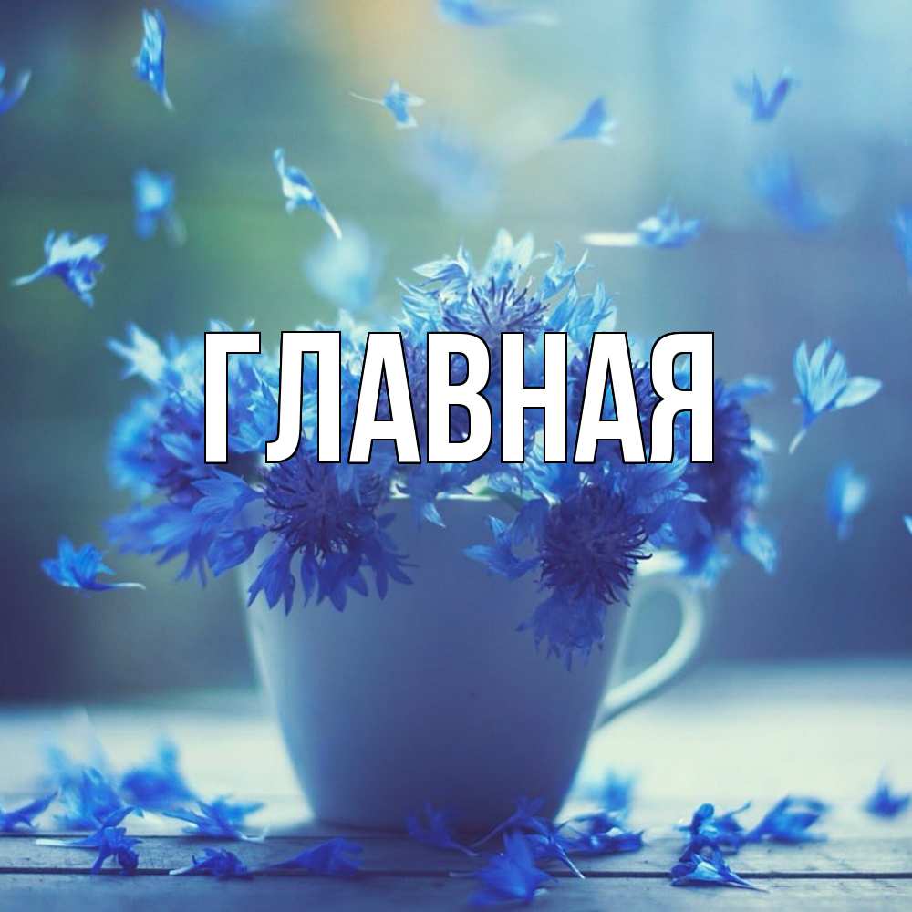 Открытка на каждый день с именем, настя Главная кружка с зельем и цветами Прикольная открытка с пожеланием онлайн скачать бесплатно 