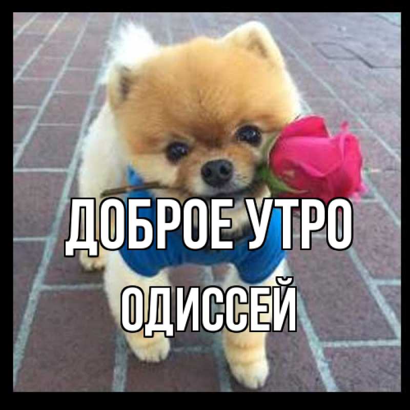 Картинка Доброе утро, Одиссей