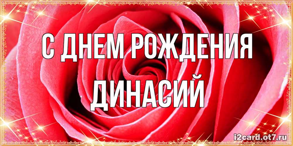 Открытка на каждый день с именем, Динасий С днем рождения розовая роза очень крупный бутон Прикольная открытка с пожеланием онлайн скачать бесплатно 
