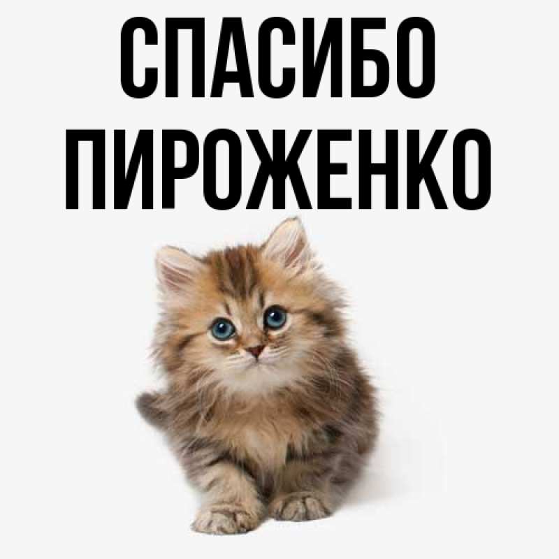 Картинка Спасибо, Пироженко