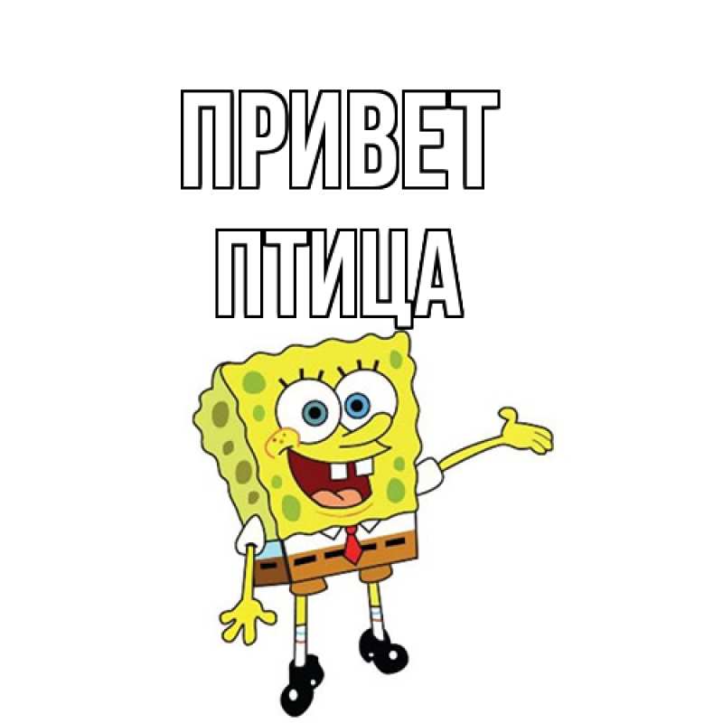 Картинка Привет, Птица