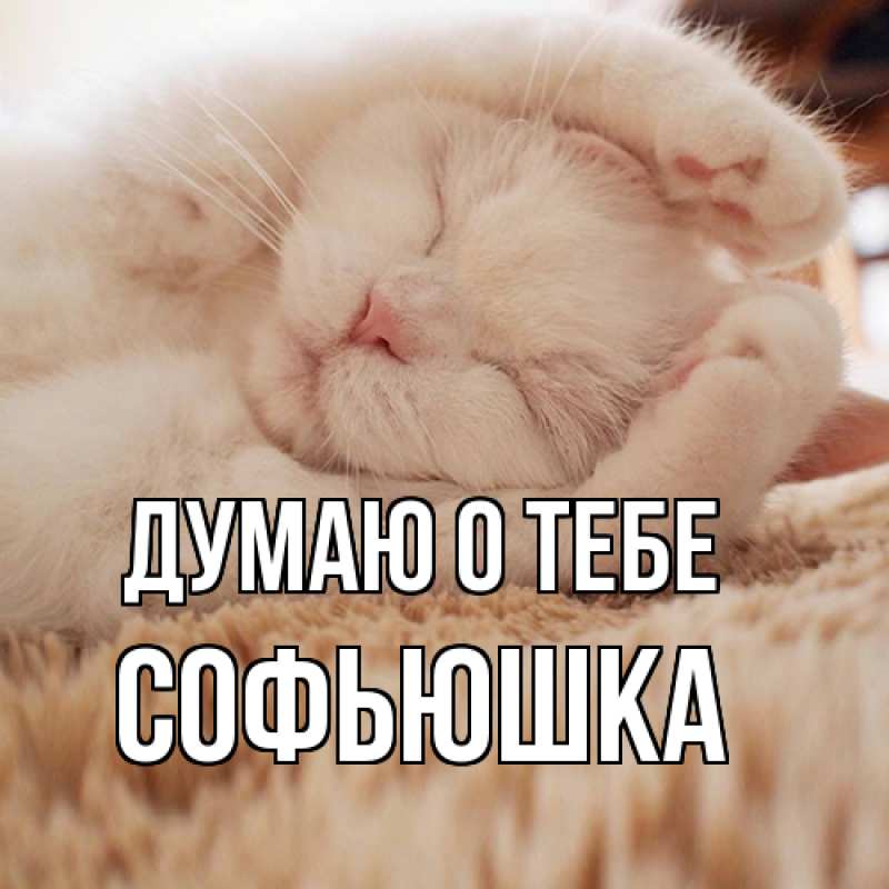 Картинка Думаю о тебе, Софьюшка