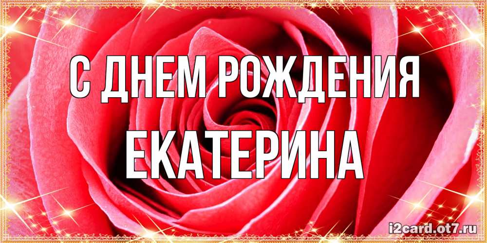 Открытка на каждый день с именем, Екатерина С днем рождения розовая роза очень крупный бутон Прикольная открытка с пожеланием онлайн скачать бесплатно 