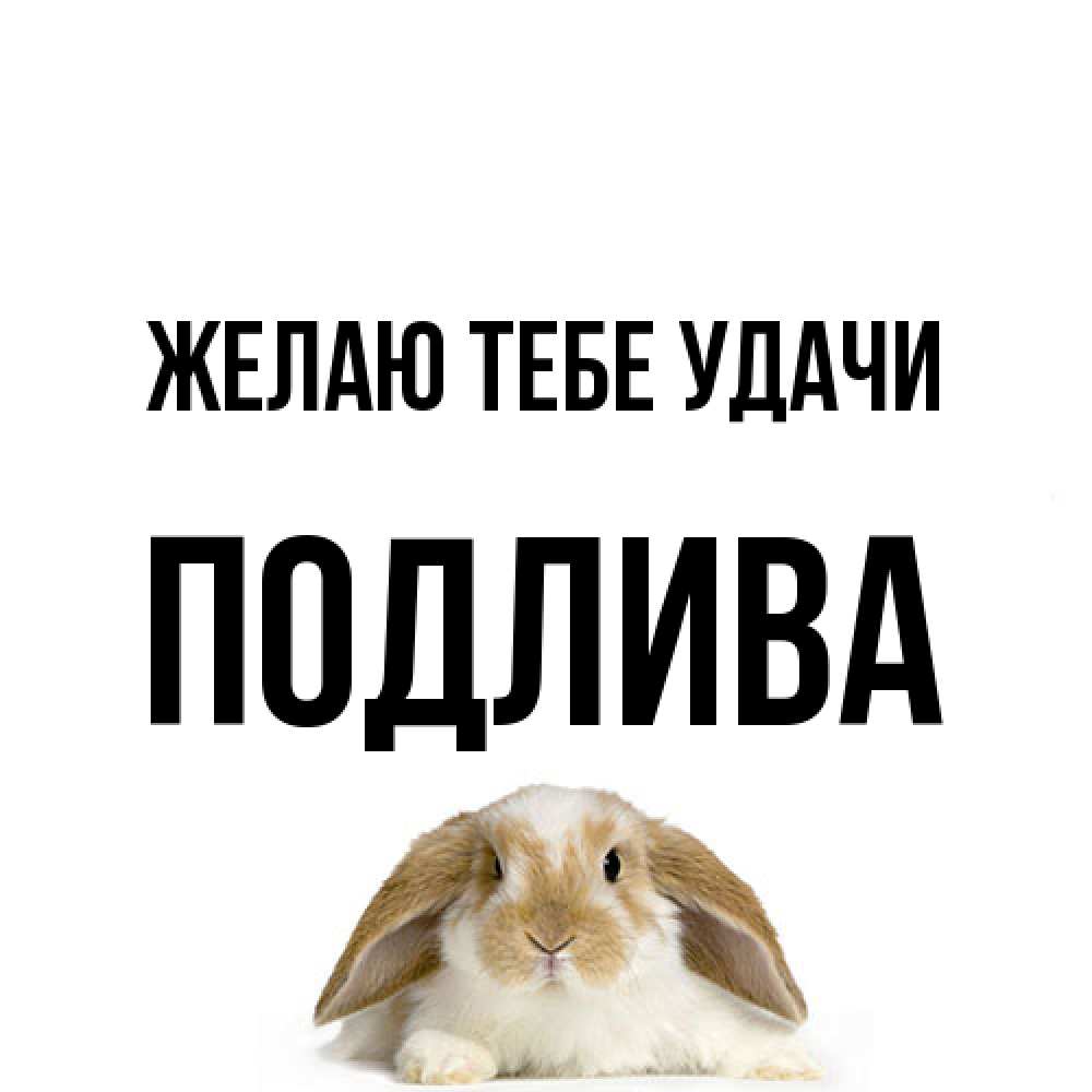 Открытка на каждый день с именем, Подлива Желаю тебе удачи открытки с произвольным текстом который можно вставить в открытку и создать ее самостоятельно бесплатно онлайн Прикольная открытка с пожеланием онлайн скачать бесплатно 