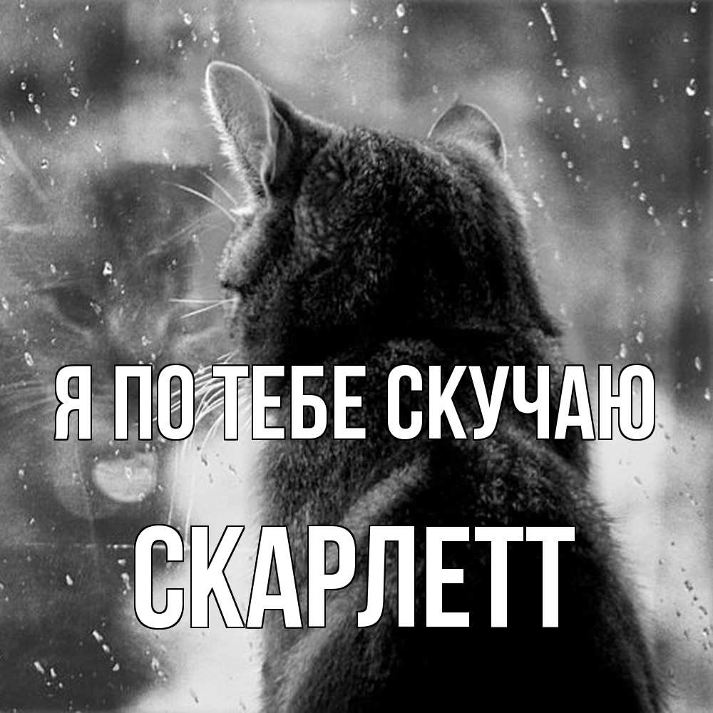 Открытка на каждый день с именем, Скарлетт Я по тебе скучаю скорее ко мне приходи 1 Прикольная открытка с пожеланием онлайн скачать бесплатно 