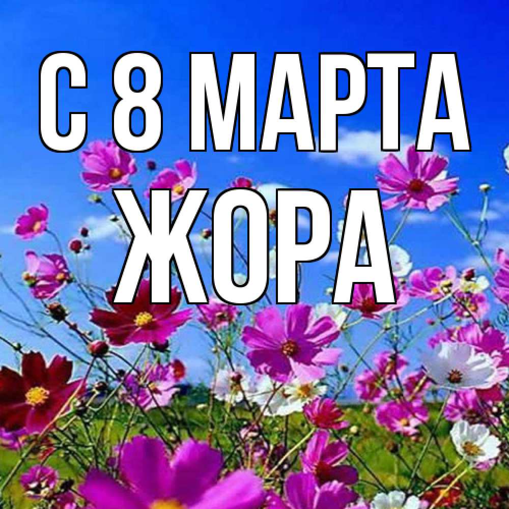 Открытка на каждый день с именем, Жора C 8 МАРТА цветы Прикольная открытка с пожеланием онлайн скачать бесплатно 