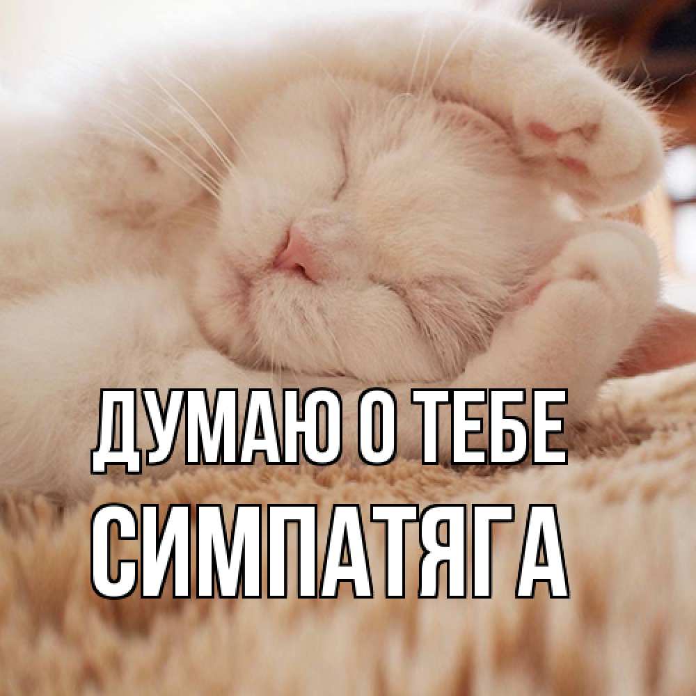 Открытка на каждый день с именем, Симпатяга Думаю о тебе для любимой девушки милота Прикольная открытка с пожеланием онлайн скачать бесплатно 