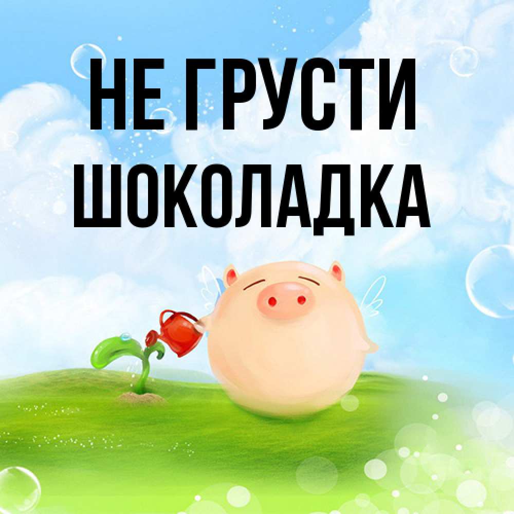 Открытка на каждый день с именем, Шоколадка Не грусти поливает цветок порося Прикольная открытка с пожеланием онлайн скачать бесплатно 
