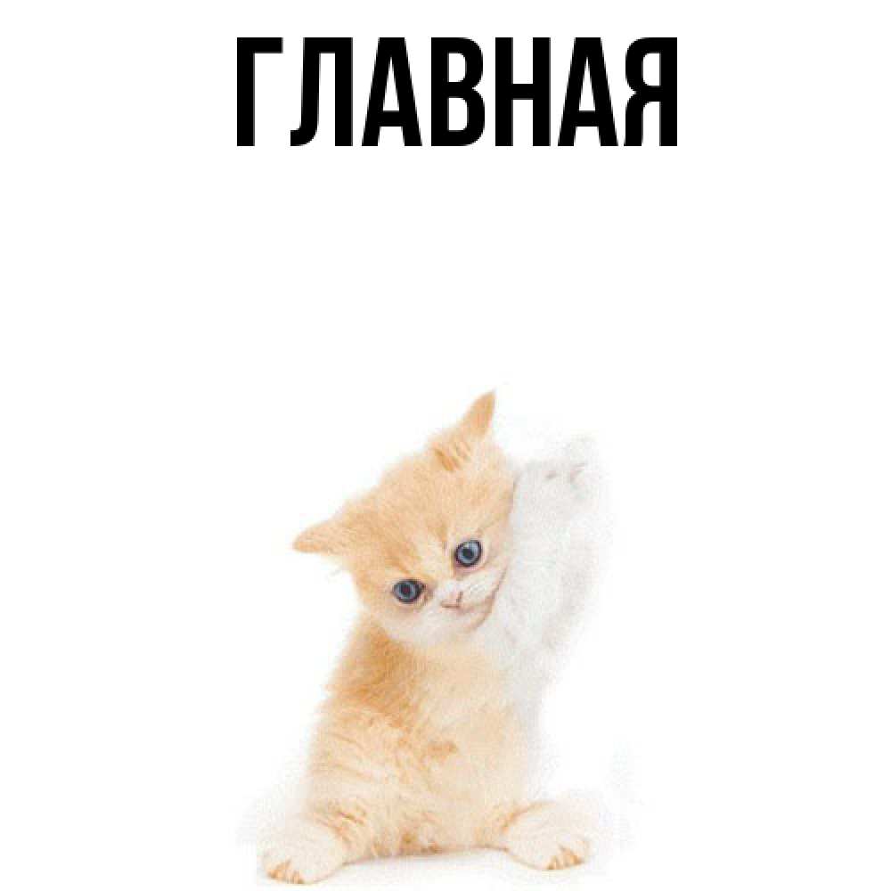 Открытка на каждый день с именем, Анна Главная я хочу очень скорее обнимаешек Прикольная открытка с пожеланием онлайн скачать бесплатно 