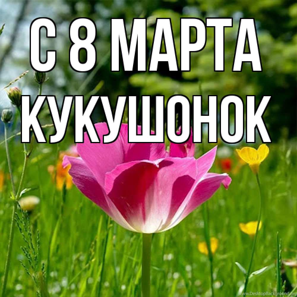 Открытка на каждый день с именем, кукушонок C 8 МАРТА полевые цветы Прикольная открытка с пожеланием онлайн скачать бесплатно 