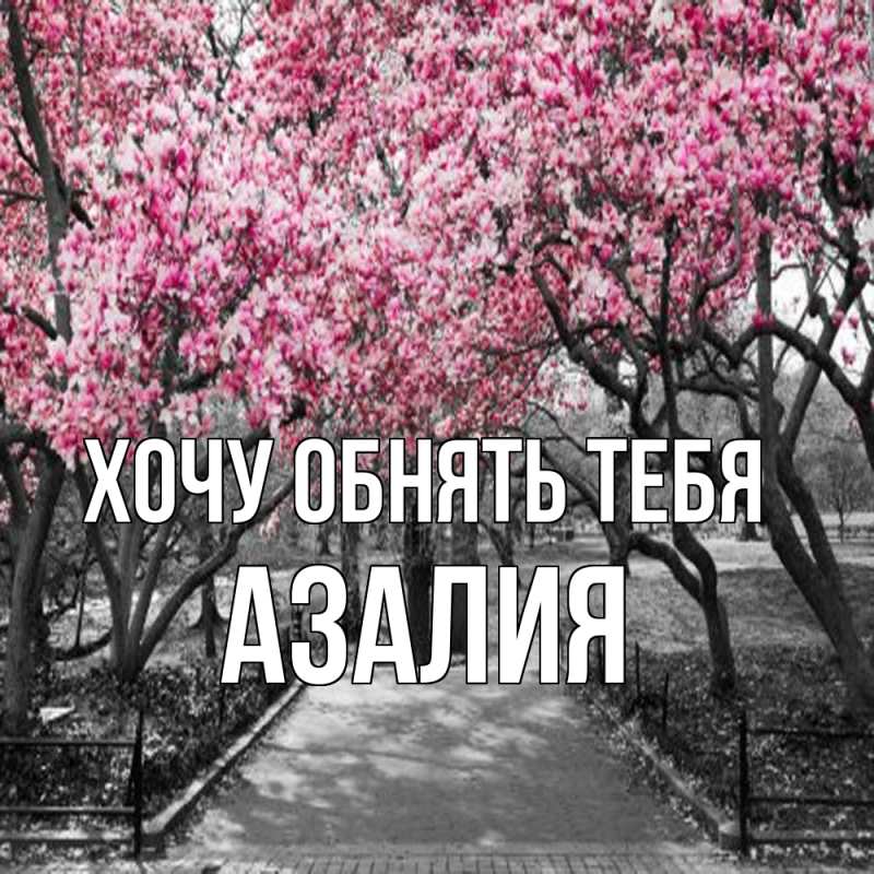 Картинка Хочу обнять тебя, Азалия