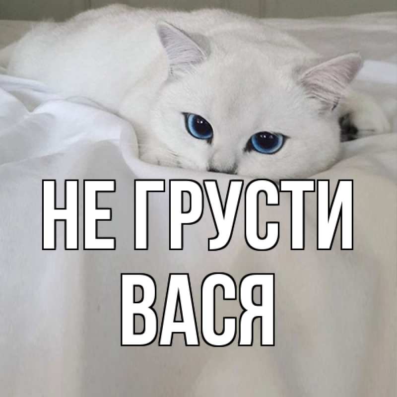 Картинка Не грусти, Вася