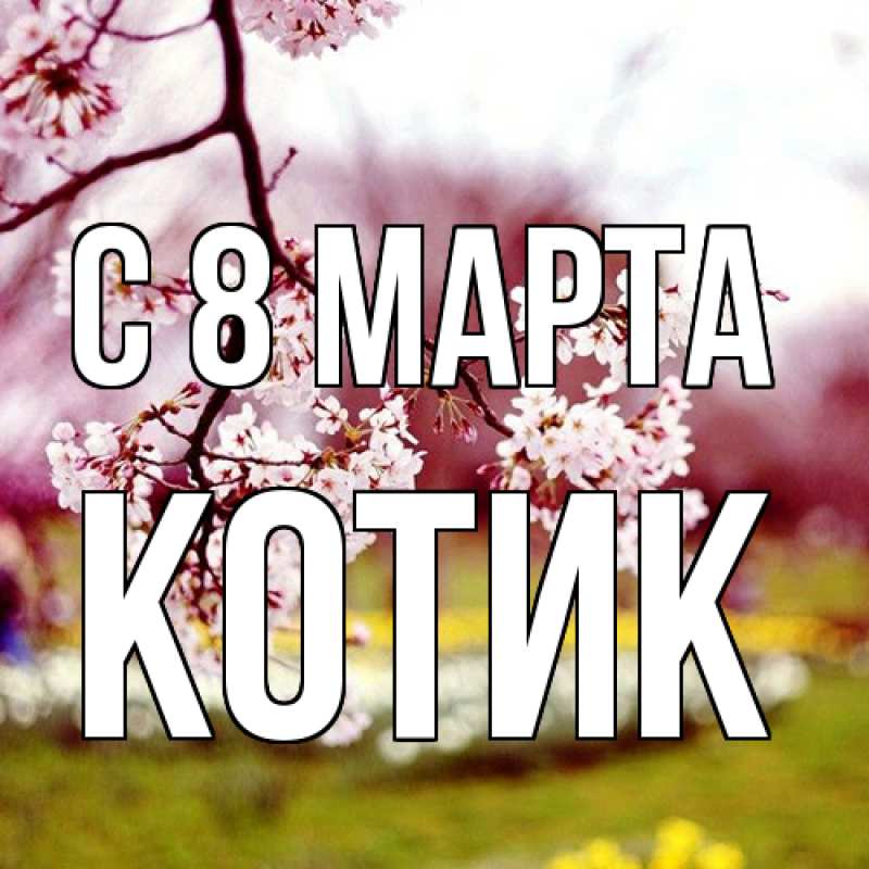 Картинка C 8 МАРТА, Котик