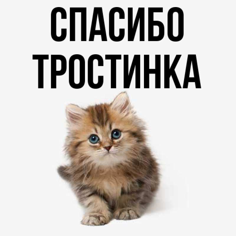Картинка Спасибо, Тpостинка