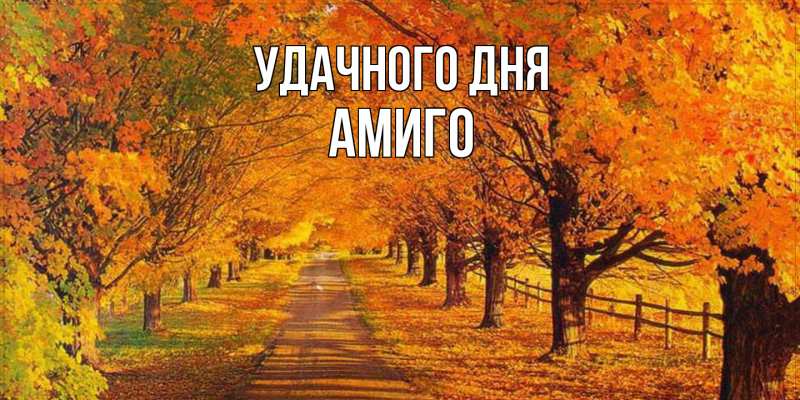 Картинка Удачного дня, Амиго