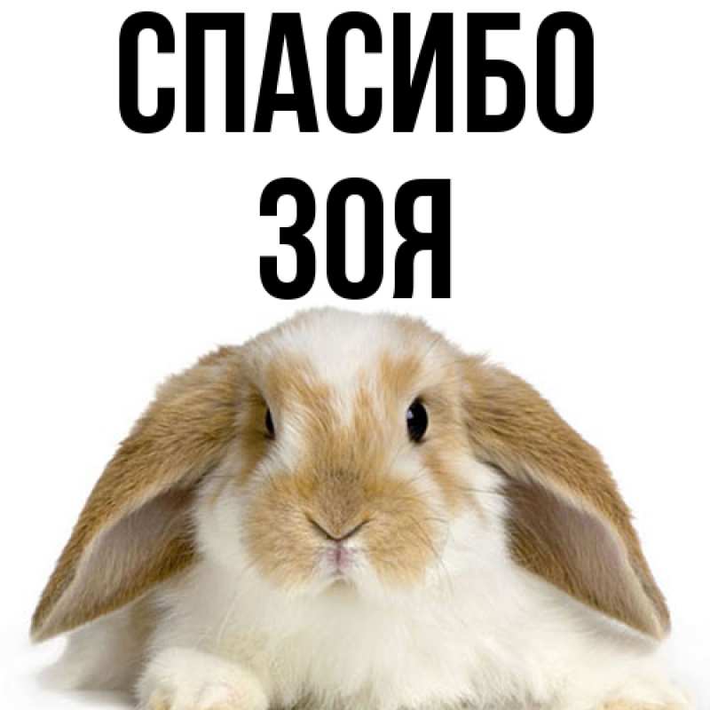 Картинка Спасибо, Зоя