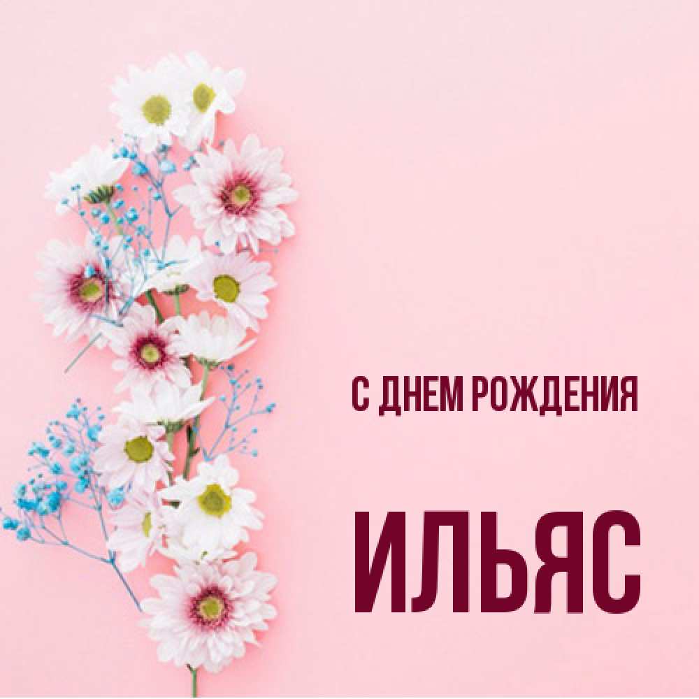 Открытка на каждый день с именем, Ильяс С днем рождения Родная моя с днем рождения тебя картинка с цветами белыми и голубыми Прикольная открытка с пожеланием онлайн скачать бесплатно 