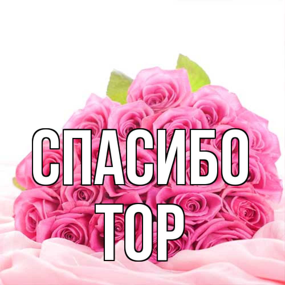 Открытка на каждый день с именем, Тор Спасибо розовые розы с подписью Прикольная открытка с пожеланием онлайн скачать бесплатно 