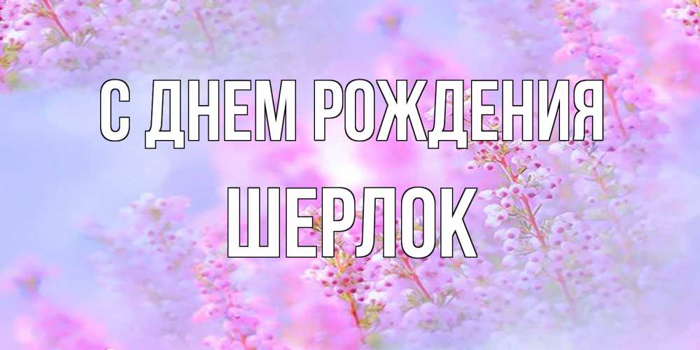 Открытка на каждый день с именем, Шерлок С днем рождения красивая открытка с мелкими цветами Прикольная открытка с пожеланием онлайн скачать бесплатно 