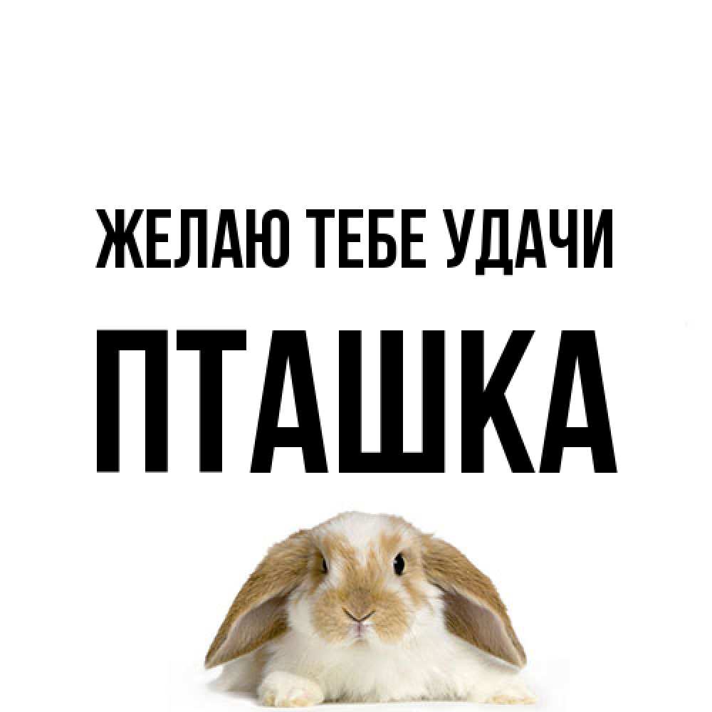 Открытка на каждый день с именем, пташка Желаю тебе удачи открытки с произвольным текстом который можно вставить в открытку и создать ее самостоятельно бесплатно онлайн Прикольная открытка с пожеланием онлайн скачать бесплатно 