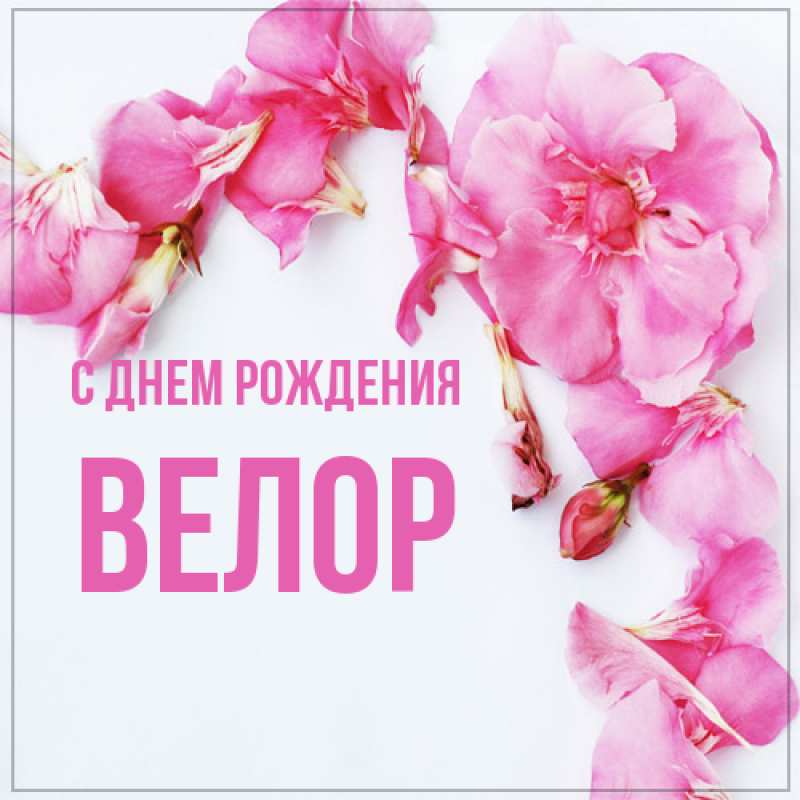 Картинка С днем рождения, Велор